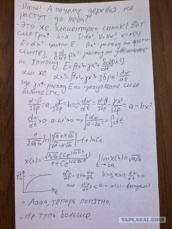 13 оригинальных шуток от учёных