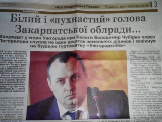 Выборы-выборы! Кандидаты... молодцы.