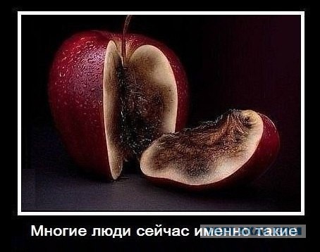 Дневник московского гастарбайтера