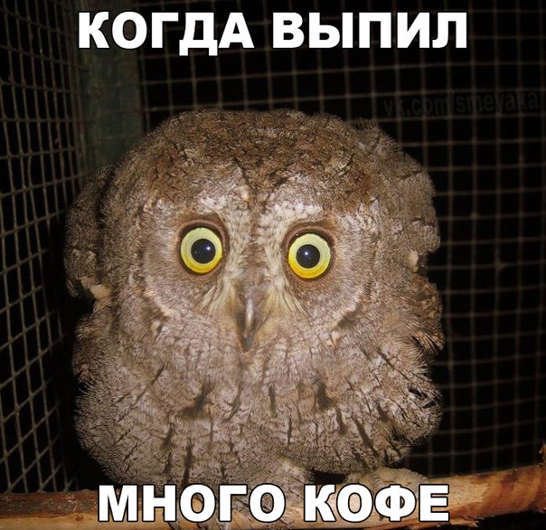 Картинки и демотиваторы