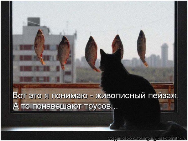 Картинки и демотиваторы