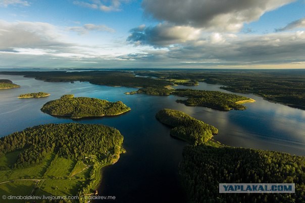 Вот и сегодня Ёжик сказал Медвежонку
