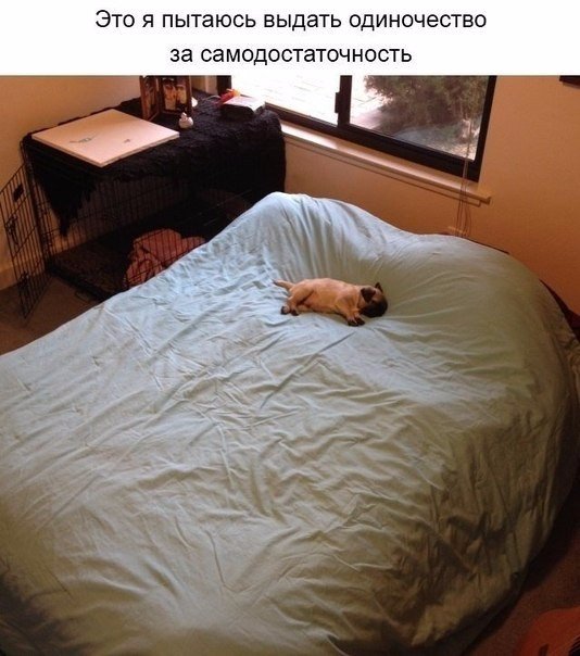 Свежая подборка прикольных картинок