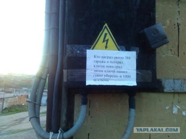 Картинки из сети, подборка на пятницу.
