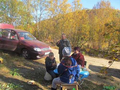 Рослесхоз разъяснил, что рубка сушняка и присвоение ветровальной и буреломной древесины - это хищение