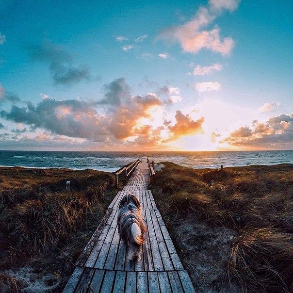 Интересные и веселые картинки