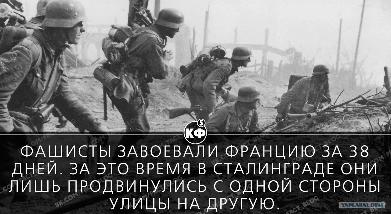 День первый ваше