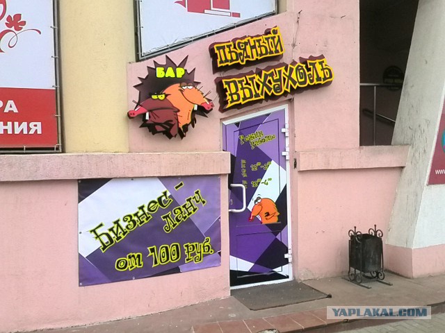 Прикольные картинки