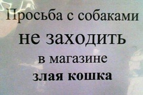 Веселые надписи и картинки