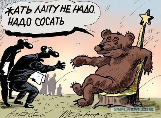 В их зоопарке нет зверя, который может указывать медведю