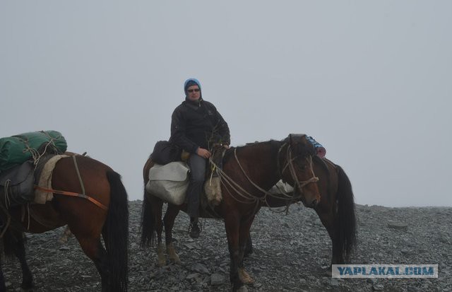 Путешествие к Белухе, или по самым красивым местам Алтая