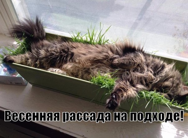 Всяко-разно из сети.Часть 4.
