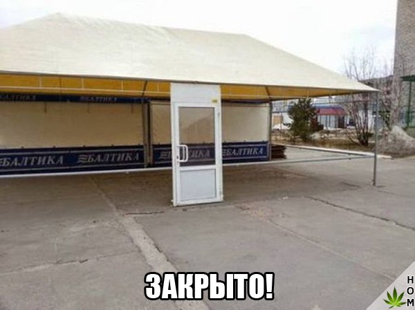 Смешные картинки