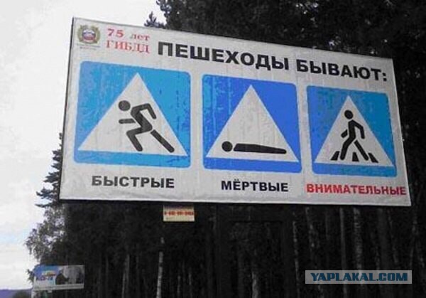 В России ужесточили штрафы за непропуск пешеходов и велосипедистов