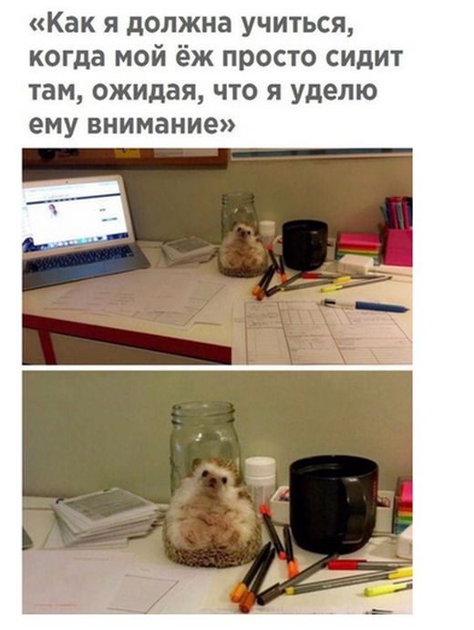 Подборка интересных и веселых картинок