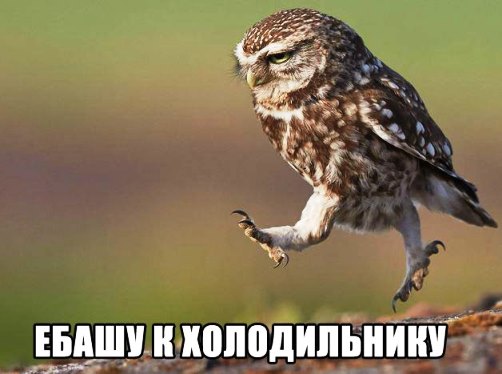 Ризотто с гадами. Фантазийный вариант.