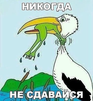 Деревянный Акинфеев. Или снова Sashaaist