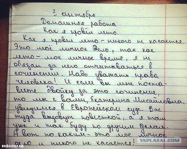 Анекдоты, соц-сети и картинки с надписями