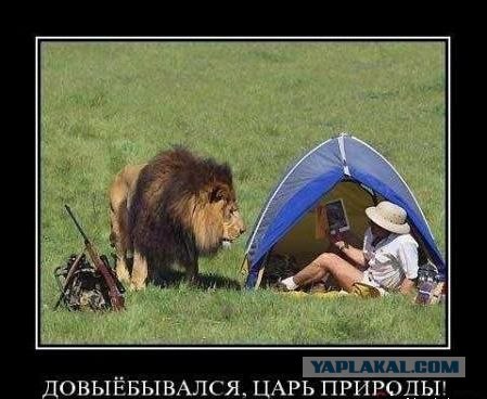 Спокойствие, только спокойствие!