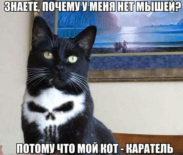 «Картинки всякие нужны, картинки всякие важны» ©