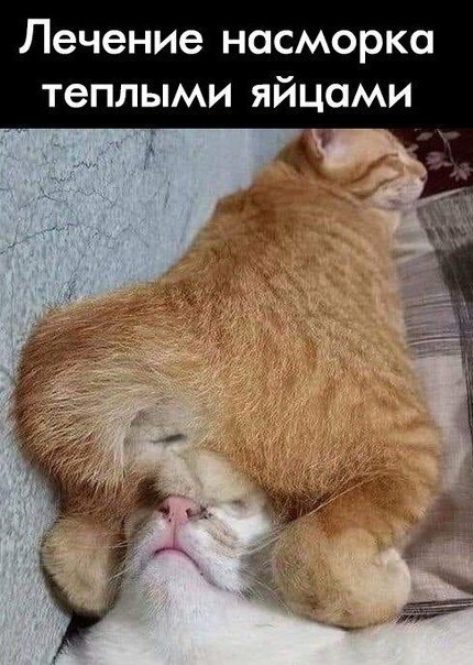 Картинки в рамках с надписями