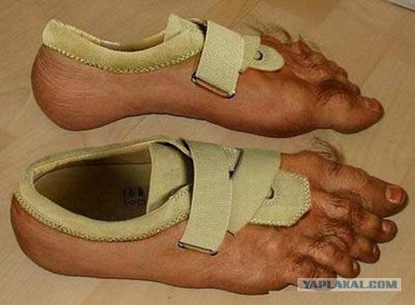 Новый отпуск?