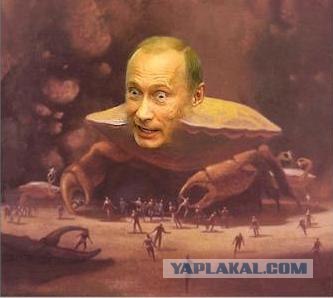 Мясо краба