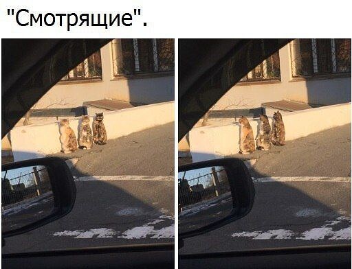 Картинки всякие