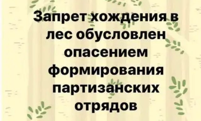 14308520.jpg