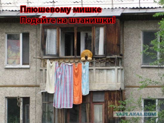 Конкурс: подпись к картинке