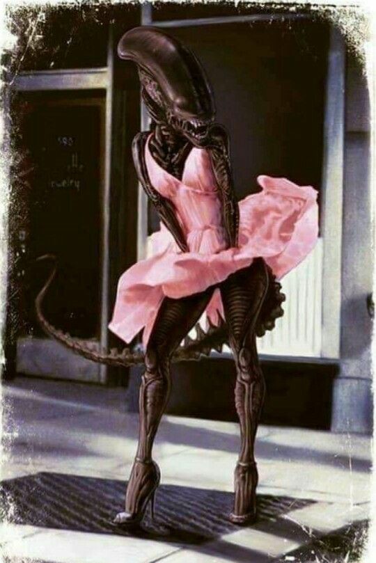“Predator girl“ - пикчи из тырнетов!