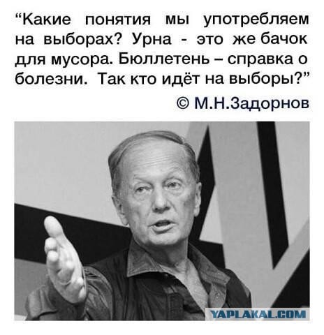 На опушках леса и у подъездах проголосовало более 10 миллионов Россиян. Верим?