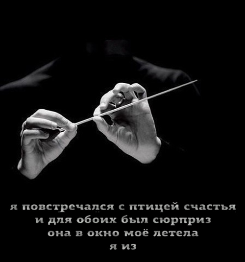Юмор в картинках