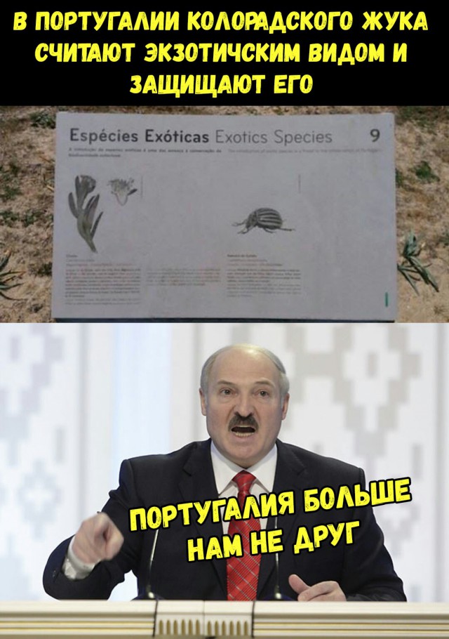 В ЮАР пришло BLM ...