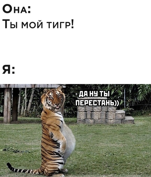 Немного картинок для настроения 08.08.20