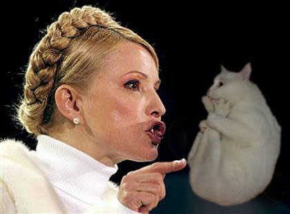 Котэ-креведко