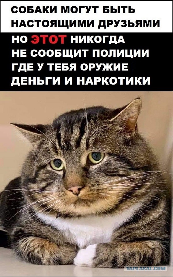 Картинки с надписями и всякие жизненные фразы