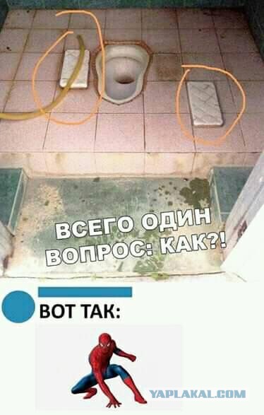 Фотки и картинки: юморные и красивые, забавные и милые 20.04.21