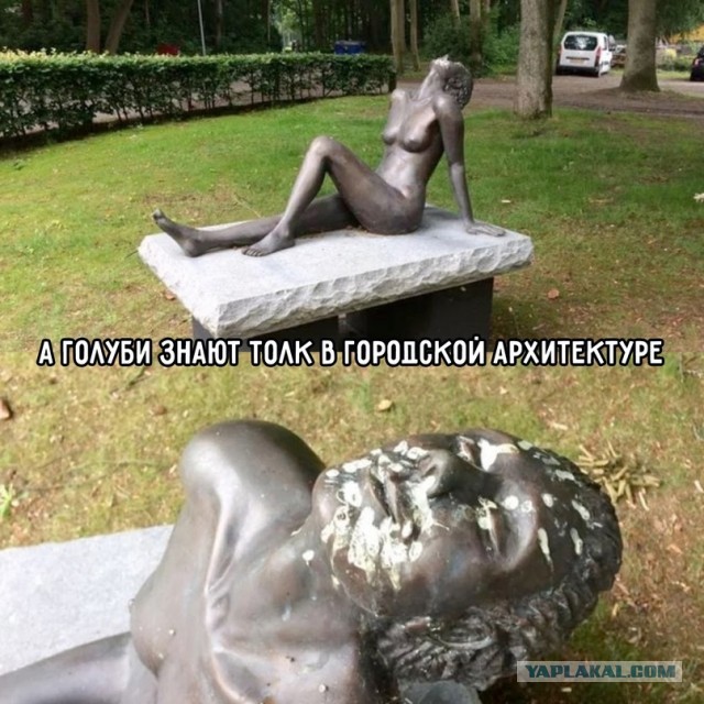 Весёлый полтишок 3.08.21