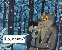 В Петербурге из реки Смоленки выловили сумку с расчлененным человеческим телом