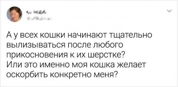 Картинки и мемы для настроения