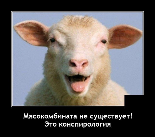 А ведь он был прав