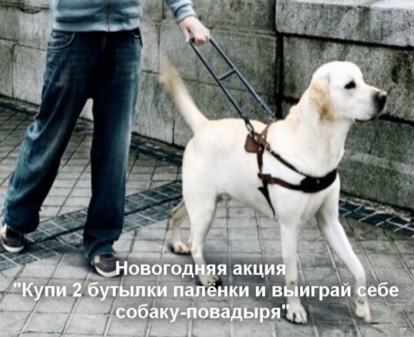 Чуток картинок 10.12.21