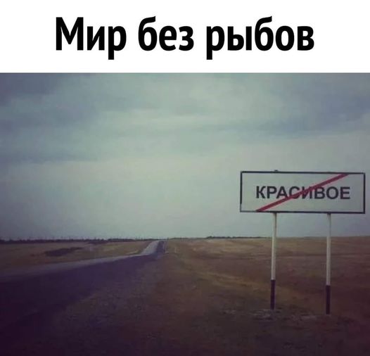 Картинки на 30.12.2021