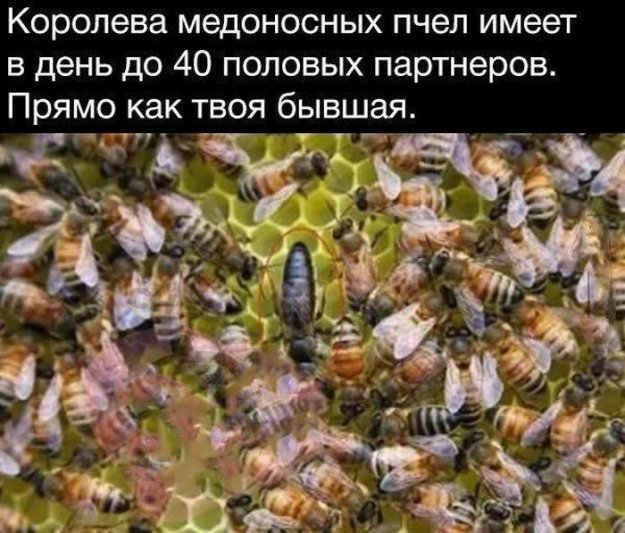 Всяческие картинки 19.01.2022
