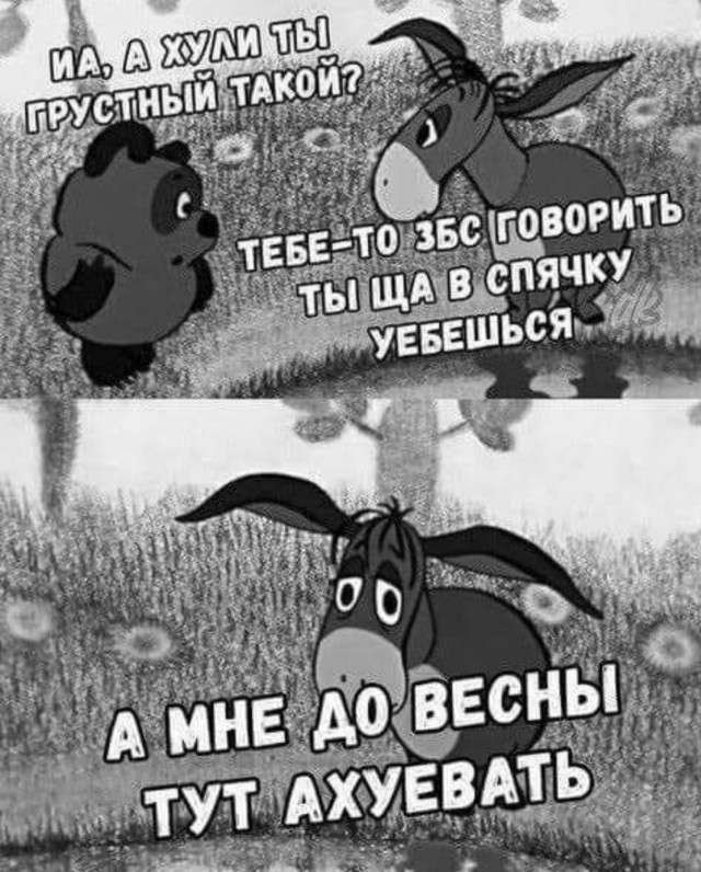 Так себе картинки 11.04.22