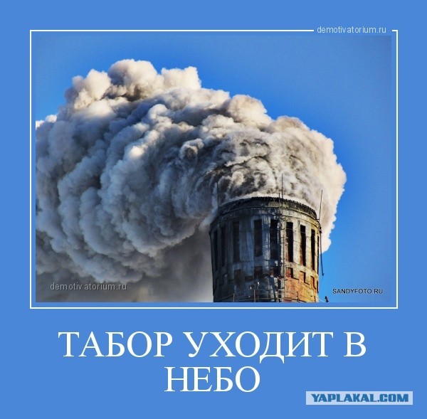 В городах Чехии проблемы с украинскими беженцами-цыганами