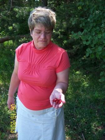 Моя поездка по Беларуси: Минск-Нарочь-Гродно-Брест-Барановичи-Несвиж