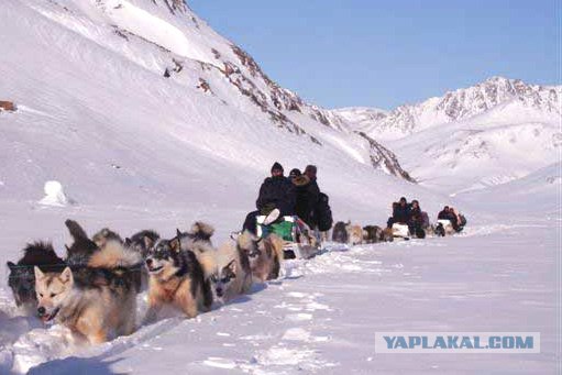 Отчет о покорении Северного полюса