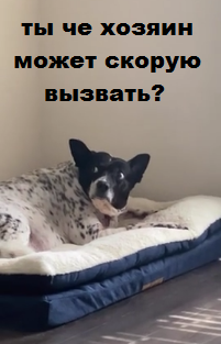 Так... И кто это сделал⁠⁠?!